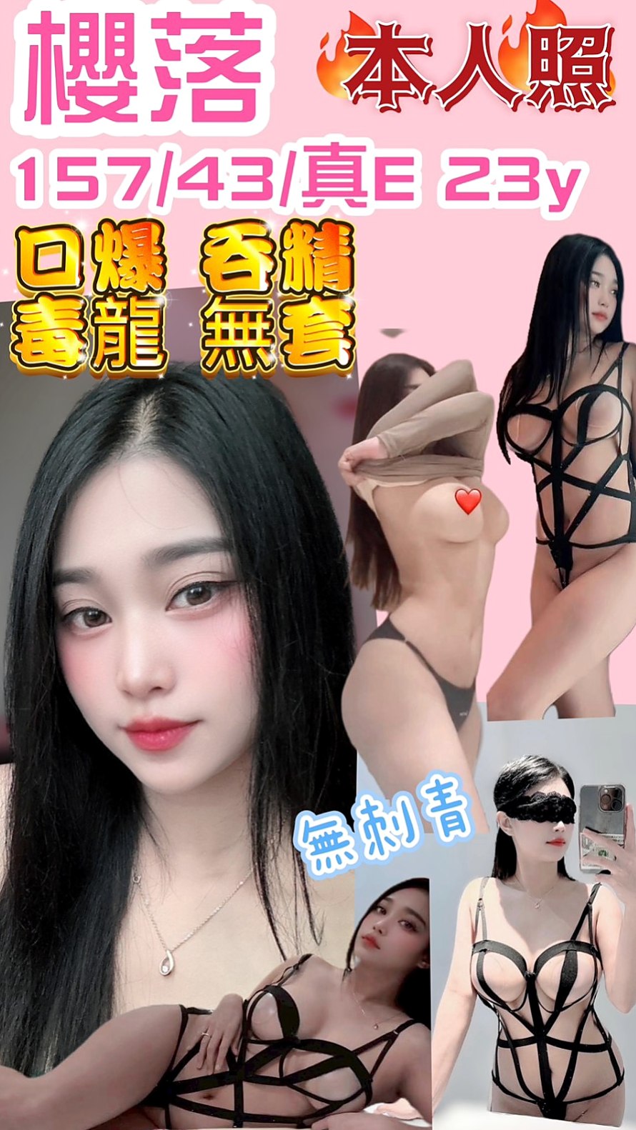 帳戶摘要｜D罩杯｜馨菱｜屏東外送茶